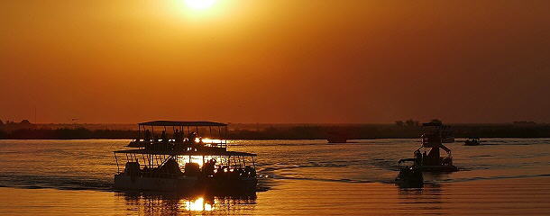 Sundowner-Foto auf dem Chobe River