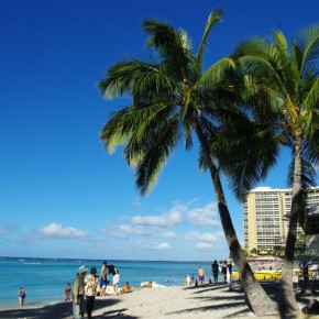 Reise nach Hawaii, Teil 1 Reise nach Hawaii, Teil 1