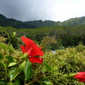 Reise nach Hawaii, Teil 3 Reise nach Hawaii, Teil 3