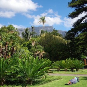 Eine der grünen Oasen in Kapstadt - The Company's Garden