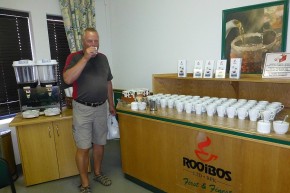 In der Teefabrik kann man sich durch die verschiedenen Sorten Rooibos kosten.