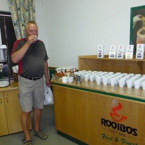 In der Teefabrik kann man sich durch die verschiedenen Sorten Rooibos kosten.