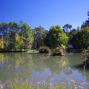 idyllisch – der Teich am Campingplatz in Ceres