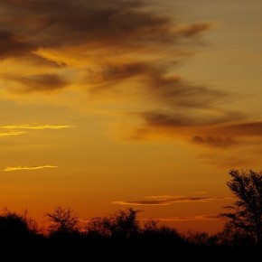 Bei Sonnenuntergang ist die Kalahari am schönsten.