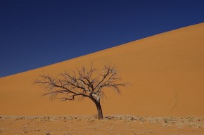 Nichts als Sand – die Dünen von Sossusvlei