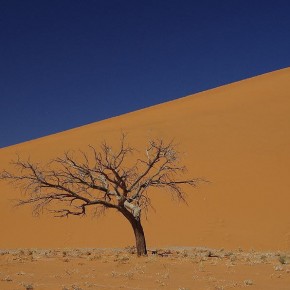 Nichts als Sand – die Dünen von Sossusvlei