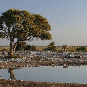 Quer durch Namibia, Teil 3 Quer durch Namibia, Teil 3