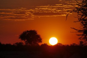 Wieder ein malerischer Sonnenuntergang in Afrika, hier im Etosha - Park