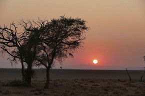 Ungewöhnlich dunstig: Der Sonnenaufgang in der Namib.