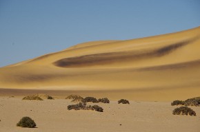 Die Namib-Wüste ist einer der größten Sandkästen der Welt.