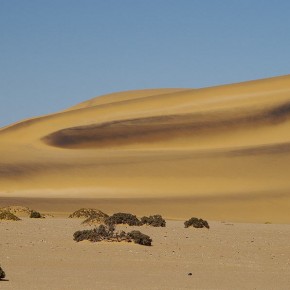 Die Namib-Wüste ist einer der größten Sandkästen der Welt.