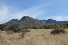 Die Landschaft südlich von Windhoek ist noch ursprünglich. Weiter südlich ist das Land oft kahl, da das Gras wegen der intensiven landwirtschaftlichen Nutzung nicht nachwachsen kann