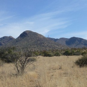 Die Landschaft südlich von Windhoek ist noch ursprünglich. Weiter südlich ist das Land oft kahl, da das Gras wegen der intensiven landwirtschaftlichen Nutzung nicht nachwachsen kann