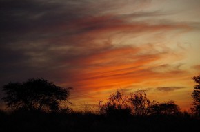 Die Nacht bricht über die Kalahari herein.