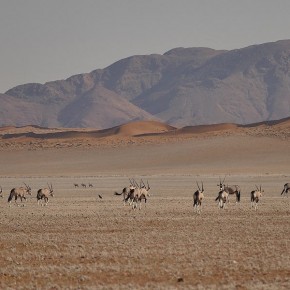 Im Westen die Namib-Wüste...