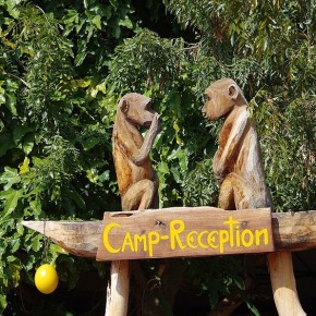 Originell - die Rezeption der Koiimasis-Ranch. Affen haben wir auf dem Gelände nicht gesehen.