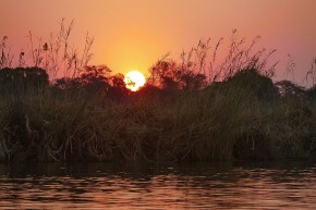 Abendstimmung am Kavango River, hier fällt die Sonne auf die Wiese.