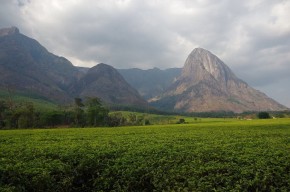 Vom Luangwa River zu den Mulanje Mountains