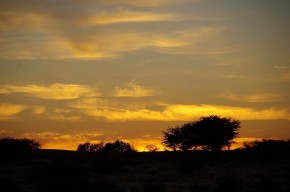 Impressionen aus Namibia