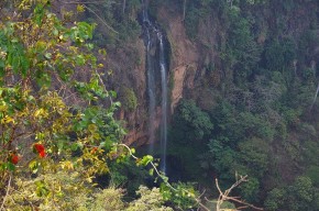 Der Manchewe-Wasserfall ist der höchste Fall in Malawi. In den Schluchten ist die ursprüngliche Bergvegetation noch zu sehen