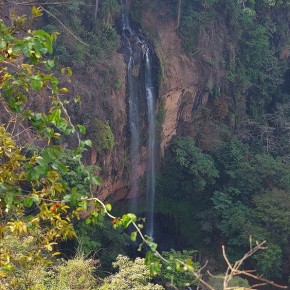 Der Manchewe-Wasserfall ist der höchste Fall in Malawi. In den Schluchten ist die ursprüngliche Bergvegetation noch zu sehen