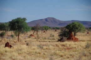 In der Mitte von Namibia werden die Temperaturen wieder angenehmer.