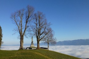 Im Rheintal bei Bregenz wabert dicker Nebel.