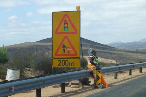 Ampelfrauchen am Cape-Namibia Highway