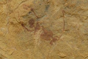 ... wo wir Jahrtausende alte Felszeichnungen entdecken. Hier ist eine Jagdszene dargestellt.