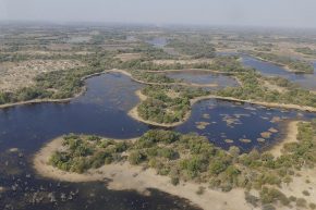 Das Okavango-Delta aus der Luft. Der Fluss versickert später irgendwo in der Steppe.