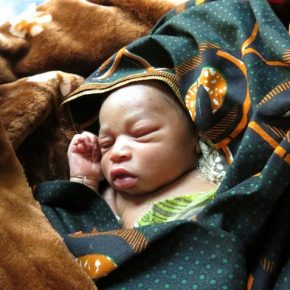 Die Neugeborenen haben noch eine recht helle Hautfarbe. (Foto: Dr. Karl Eiter)