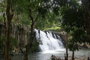 Wie Orgelpfeifen stehen die Basaltfelsen an den Rochester - Wasserfällen ganz im Süden von Mauritius