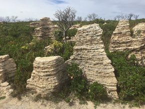 Die Kalksteine am Cape D'Entrecasteaux ähneln gestapelten Eierkuchen.
