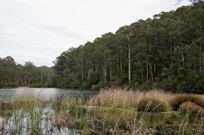 Wandern in Australien, Westaustralien, Gloucester Nationalpark
