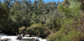 Wandern in Australien, Westaustralien, Gloucester Nationalpark