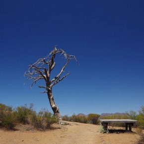 Unterwegs im Outback Unterwegs im Outback