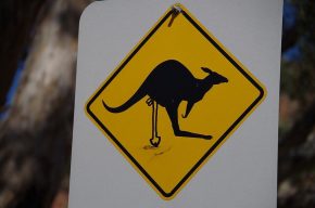 Normale Känguruschilder gibt es in Australien viele – solche Raritäten individueller "Kunst" schon weniger.