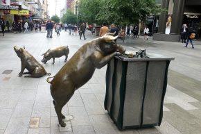 Und auch die Schweine in der Fußgängerzone von Adelaide freuen sich schon.