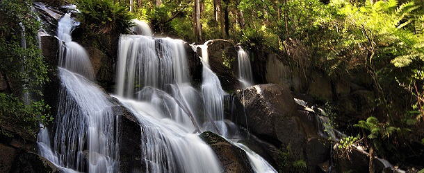 Immer wieder beeindrucken uns die Wasserfälle im tiefen Regenwald, wenn sie denn fließen.