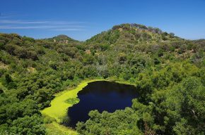 Im Hinterland der australischen Südküste befindet sich das geologisch jüngste Gebiet des Kontinents. Üppig grüne Vulkankrater mit tiefblauen Kratersehen kennzeichnen heute diese interessante Gegend.