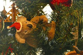 Australischer Weihnachtbaumschmuck – in den Tannen hängen kleine Koalabärchen...