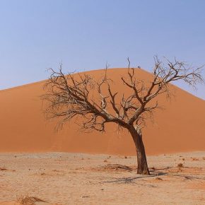 Erinnerungen an Afrika, Teil 2 Erinnerungen an Afrika, Teil 2