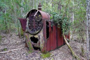 Mitten in den Regenwäldern sind immer wieder Relikte aus der Vergangenheit zu sehen, hier eine Dampfmaschine, die vor einhundert Jahren bei Holzfällerarbeiten genutzt wurde.