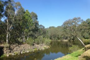 Malerisch schlängelt sich der Yarra River durch die Großstadt Melbourne.