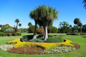 Wandern in Australien, Sydney Paddington, Centennial Park