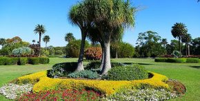 Wandern in Australien, Sydney Paddington, Centennial Park