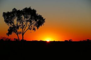 ... um den Sonnenuntergang im Outback zu genießen.