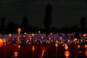 Beeindruckend: Über 300 000 Lampen erleuchten die Fields of Light.