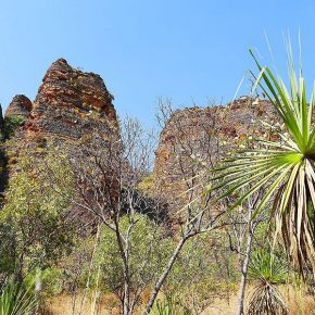 Einen kleinen Vorgeschmack auf die Kimberleyregion gibt es im Keep River Nationalpark nahe der Grenze zu Westaustralien.