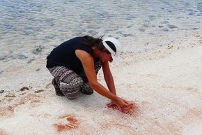 Mit der Hand im Sand wird eine Tradition der Aborigines gepflegt, die besagt – Ich war hier.